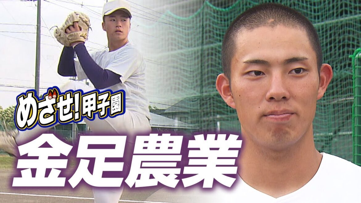 めざせ！甲子園【#金足農業】夏の高校野球秋田大会 #夢球場2024