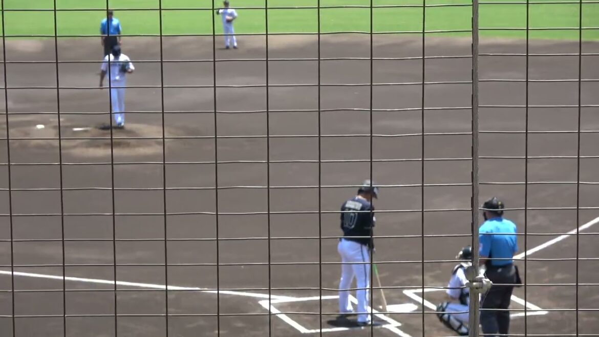 【くふうハヤテベンチャーズ 瀬井裕紀選手 ダイビングキャッチ】オリックスバファローズ 大城滉二選手 第1打席 セカンドライナー VS 竹内奎人投手 2024/7/4 ちゅーるスタジアム