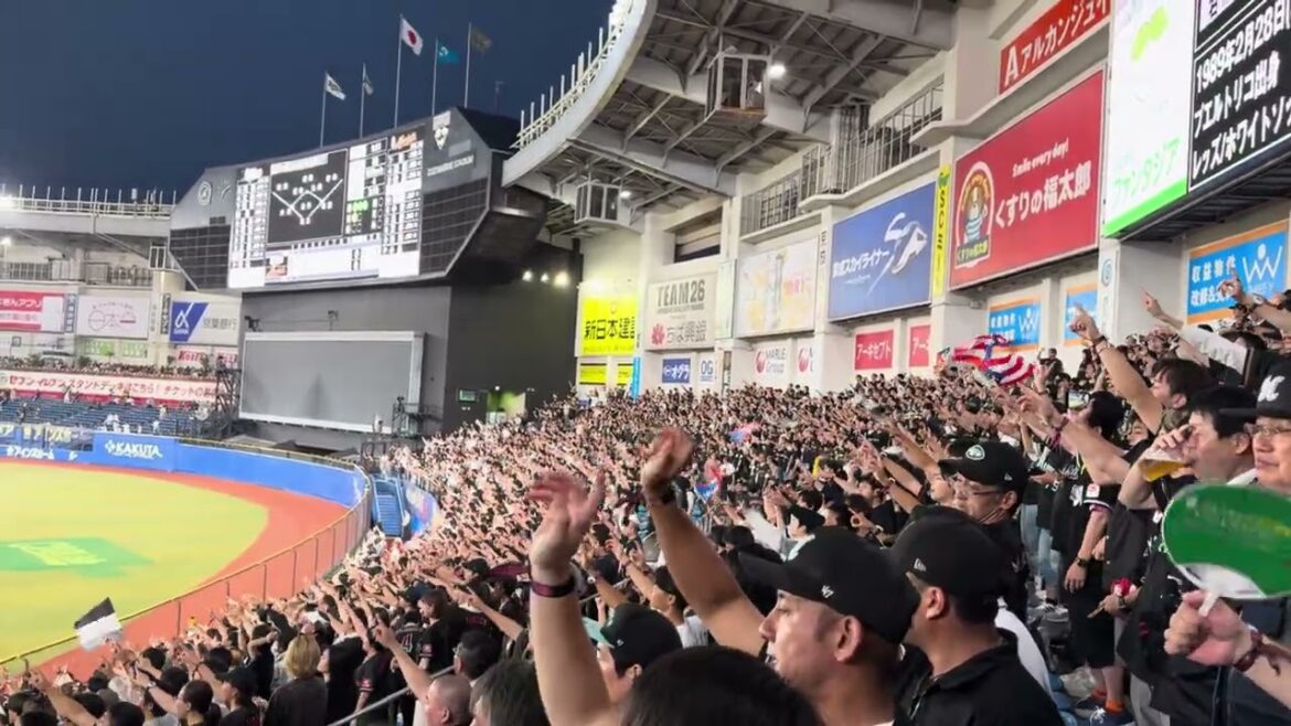 夏限定応援歌→石川慎吾応援歌 BLACK SUMMER WEEK   2024/7/12 ロッテ vs オリックス #chibalotte