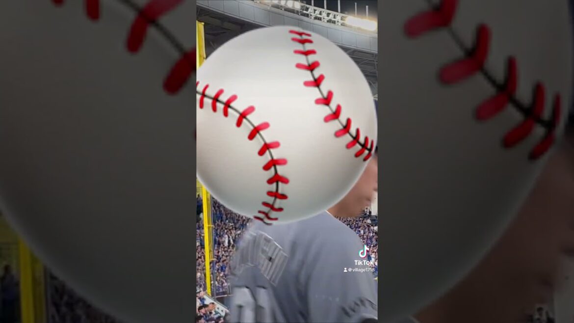 横浜DeNAベイスターズ応援風景 ※ 柴田竜拓（2024年6月11日）