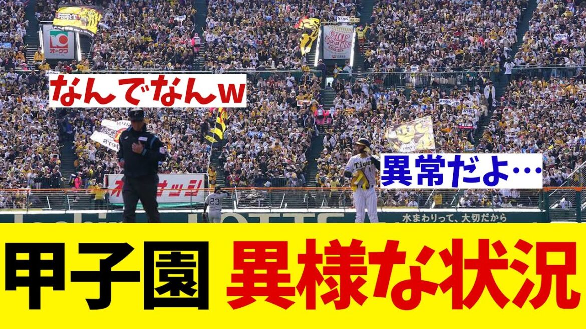 甲子園　異様な盛り上がりを見せる！一体何が・・・【野球情報】【2ch 5ch】【なんJ なんG反応】