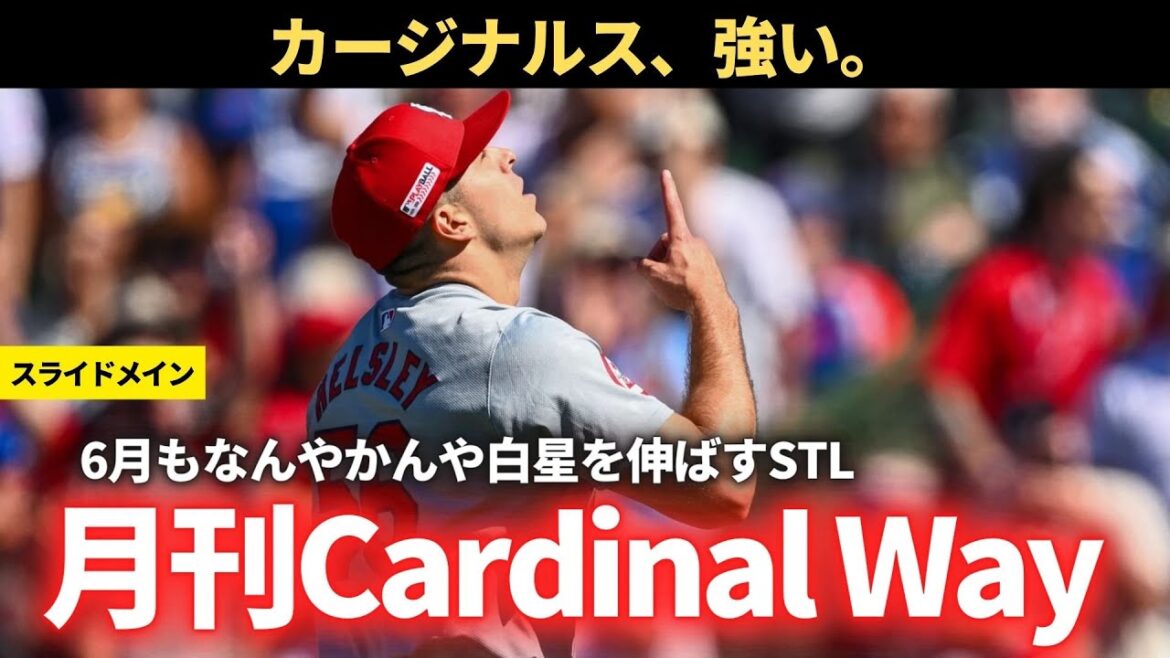 【6月号】月刊Cardinal Way