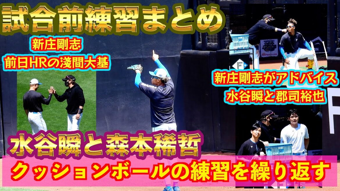 【20240713】試合前練習まとめ　水谷瞬が外野のクッションボール練習、新庄剛志が淺間大基、郡司裕也、水谷瞬にアドバイス