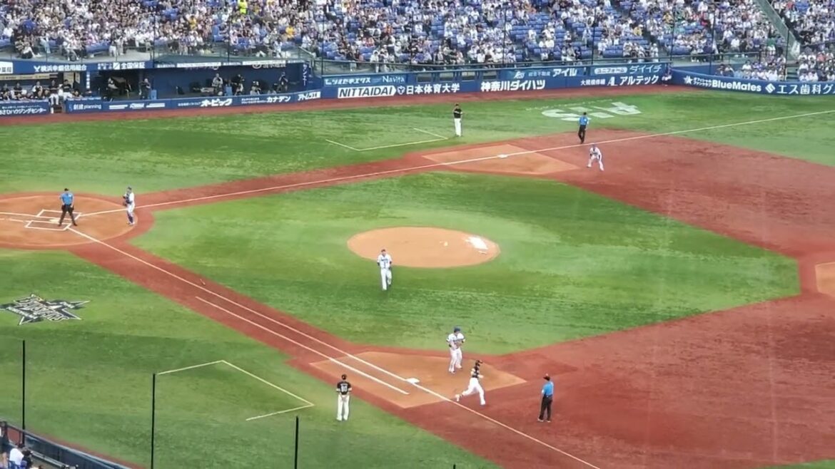 20240607【現地】周東佑京から三振を奪う森唯斗！奪三振ムービーがカッコいい！　1回表　横浜DeNAﾍﾞｲｽﾀｰｽﾞ@横浜ｽﾀｼﾞｱﾑ･ｳｨﾝｸﾞ席(BAY SIDE) ﾊﾏｽﾀ  ｾ･ﾊﾟ交流戦