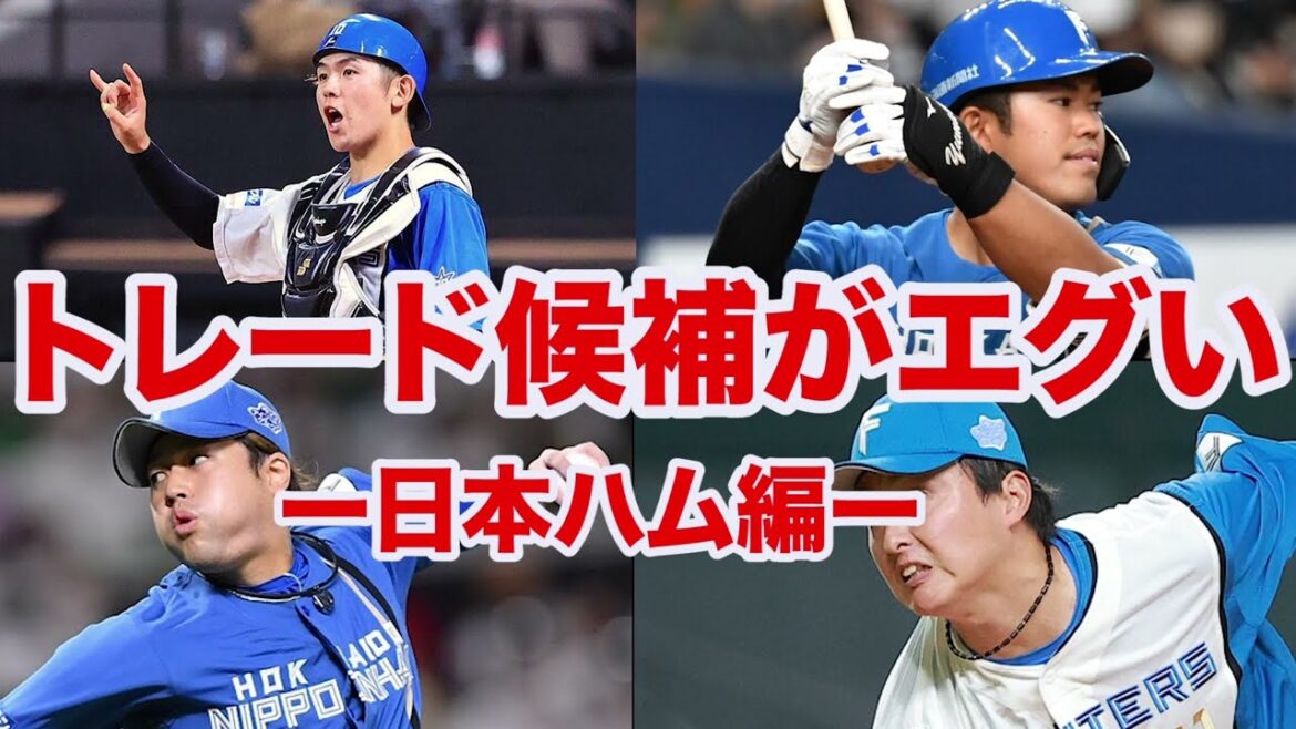 【日本ハムのトレード事情】清水優心や堀瑞輝など⁉️トレード候補がエグすぎる