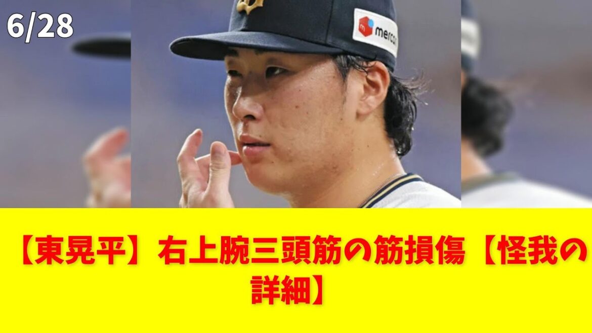 【東晃平】右上腕三頭筋の筋損傷【怪我の詳細】 #東晃平 #上腕三頭筋 #リハビリ #怪我 #野球