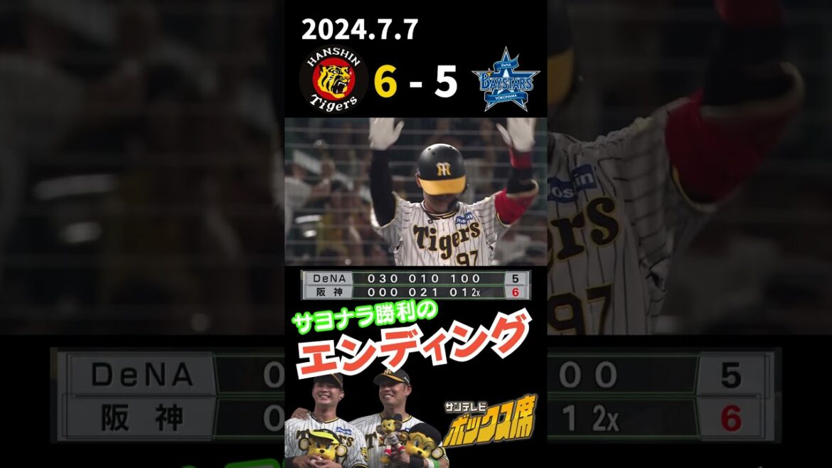 【Wグッチの活躍で劇的サヨナラ】2024年7月7日 阪神ーDeNA 勝利のエンディング #サンテレビボックス席
