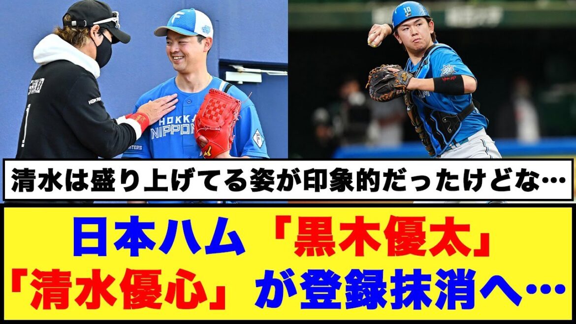 【日本ハム】「黒木優太」と「清水優心」が登録抹消へ…【日本ハム反応集】【ネットの反応】#日本ハムファイターズ #清水優心 #黒木優太 #野村佑希