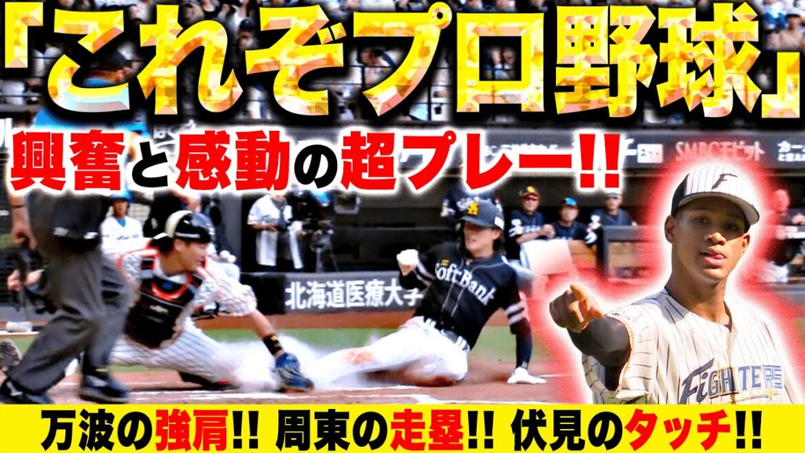 【これぞ!】プロ野球の“最高”が凝縮『万波の強肩・周東の走塁・伏見のタッチ』【全てを魅了】 【これぞ!】プロ野球の“最高”が凝縮『万波の強肩・周東の走塁・伏見のタッチ』【全てを魅了】