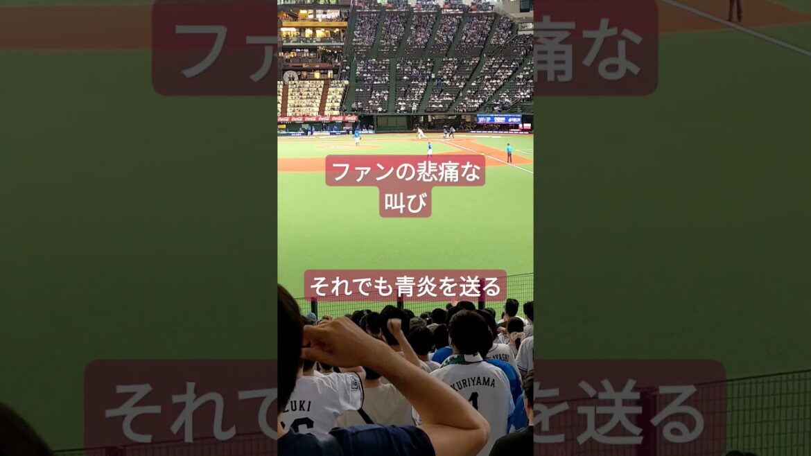 ベイスターズ戦最終回長谷川信哉   #気合を入れろライオンズ  #それでもライオンズが好き #埼玉西武ライオンズ
