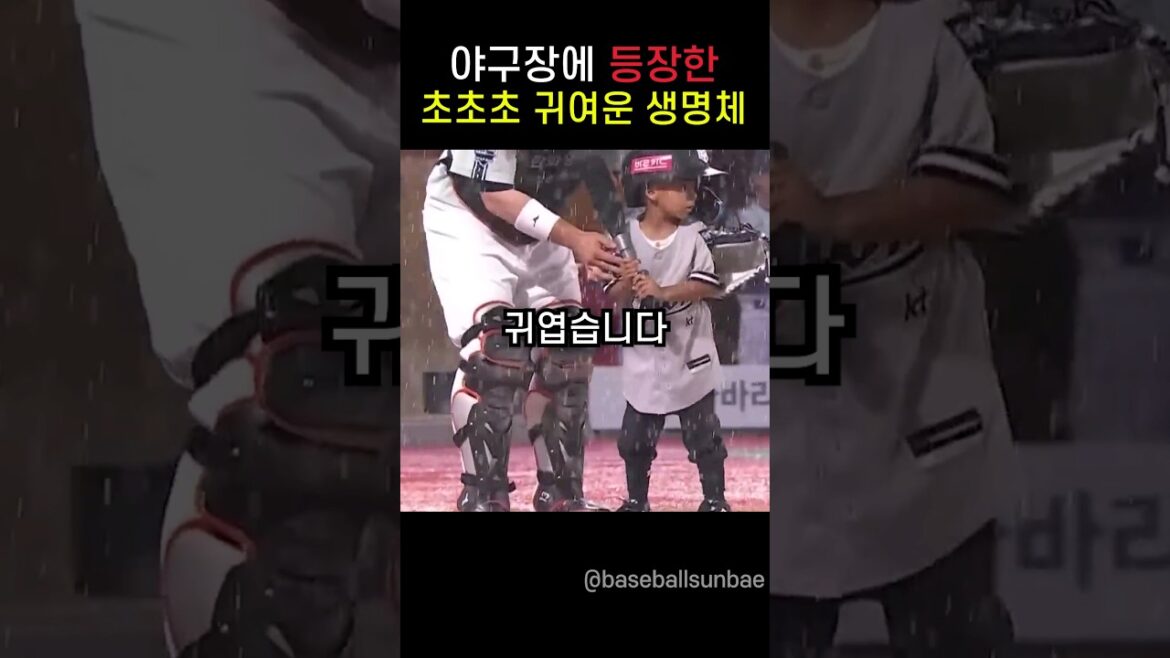 나도 야구선수가 될거야