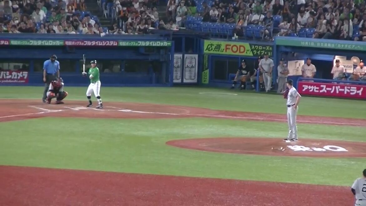 中村悠平 赤羽由紘を淡々と抑えるグリフィン2024年7月6日 ヤクルトスワローズ対 読売ジャイアンツ