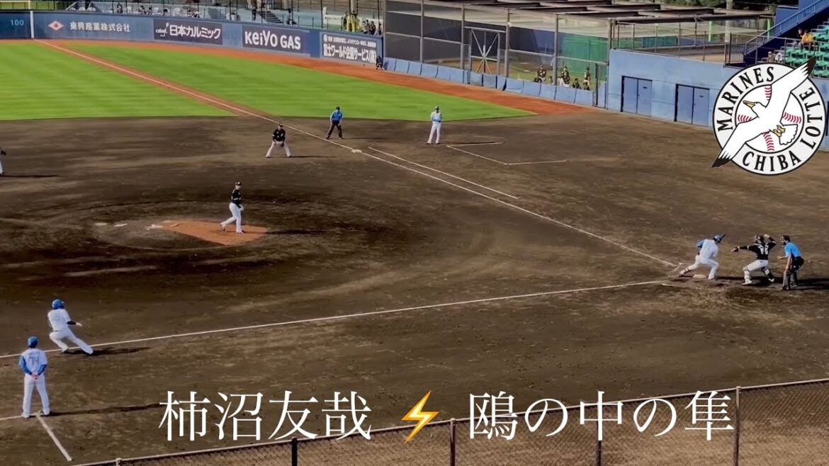 ⚾️柿沼友哉捕手⚾️はやぶさ発動⚡️巣を飛び出した獲物を瞬時に捕殺⚾️千葉ロッテマリーンズ⚾️