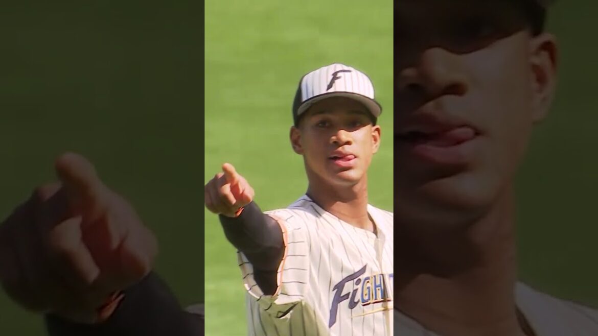 【連勝！伊藤・伏見バッテリー！レイエス・万波 渾身のスイング！】7/14vs.福岡ソフトバンクホークス