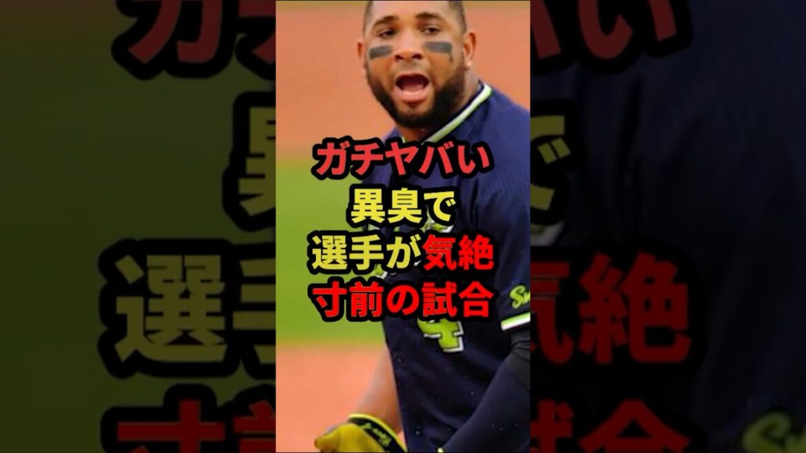 異臭がヤバくて選手が地獄だった試合とは #プロ野球 #野球解説 #甲子園の歴史 #shorts