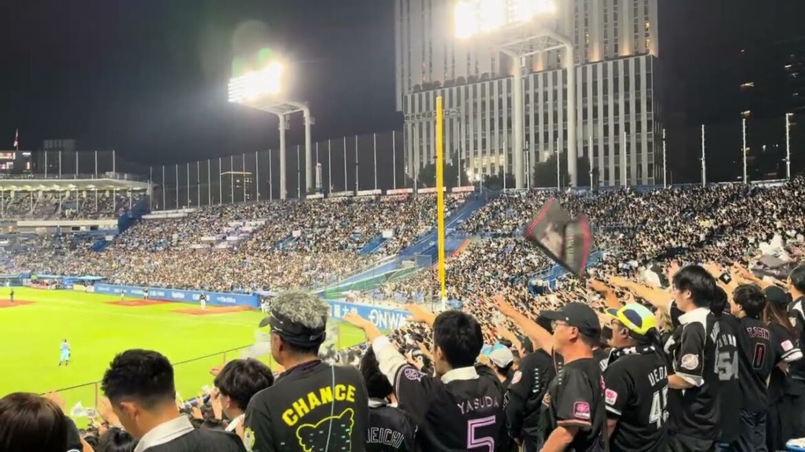 中村奨吾応援歌(前奏有) 2024/5/29 ヤクルト vsロッテ #chibalotte
