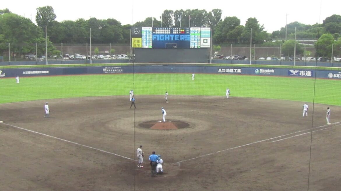 鈴木大和を三振にとる齊藤伸治＜日本ハムファイターズ対 読売ジャイアンツ2024年6月25日＞