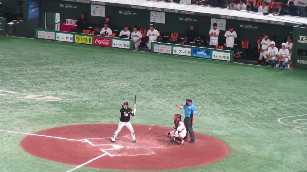 小川龍成を打ち取り喜ぶ巨人ベンチの様子＜読売ジャイアンツ対 千葉ロッテマリーンズ2024年6月6日＞