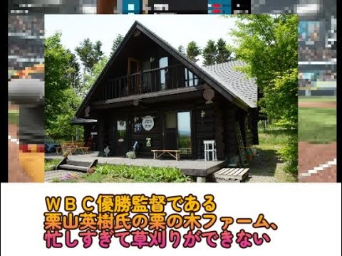 WBC優勝監督である栗山英樹氏の栗の木ファーム、忙しすぎて草刈りができない WBC優勝監督である栗山英樹氏の栗の木ファーム、忙しすぎて草刈りができない