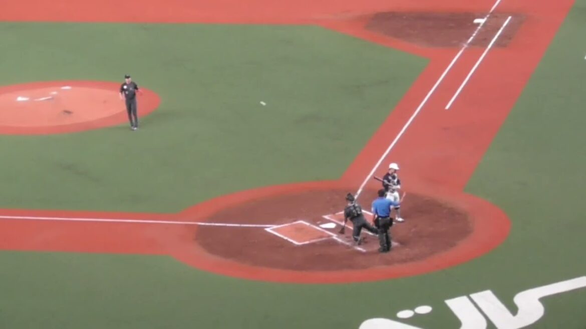 NEWYORKER 【山村崇嘉→松原聖弥→古賀悠斗→児玉亮涼】ベルーナドーム 西武vsロッテ 2024/07/06 NEWYORKER 【山村崇嘉→松原聖弥→古賀悠斗→児玉亮涼】ベルーナドーム 西武vsロッテ 2024/07/06