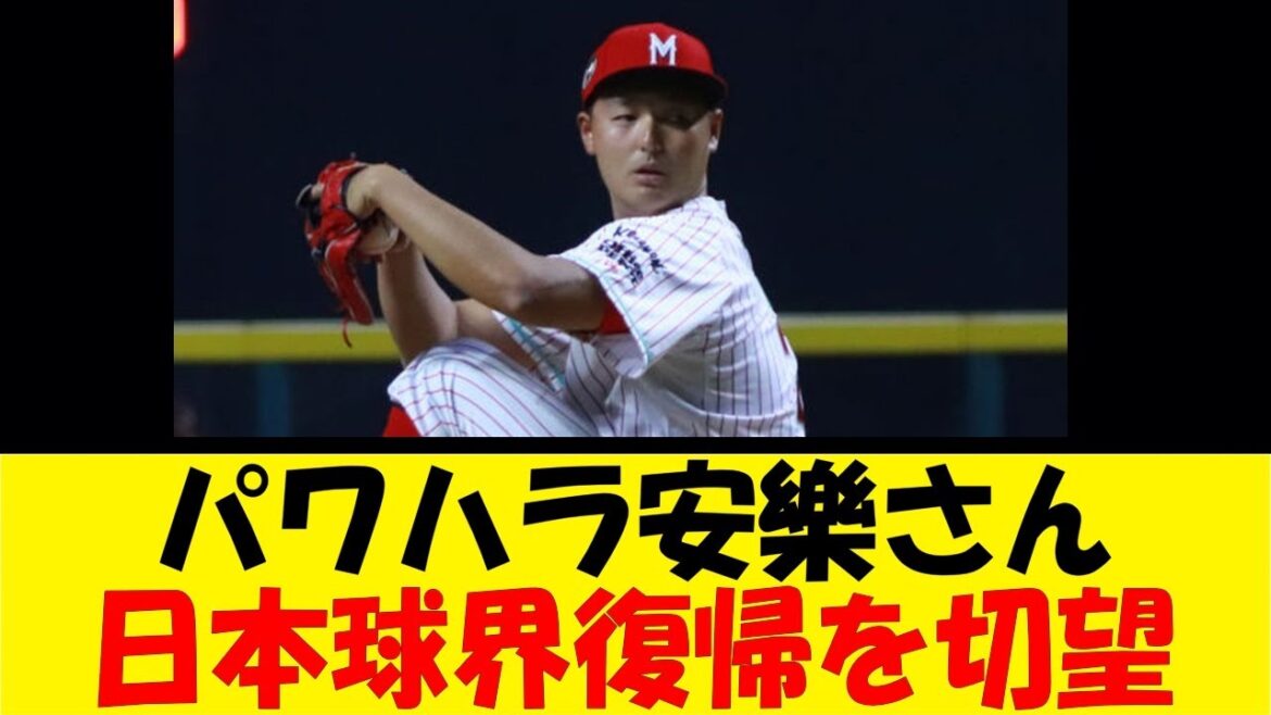 パワハラ安樂さん、日本球界復帰を切望【反応集】【野球反応集】【なんJ なんG野球反応】【2ch 5ch】