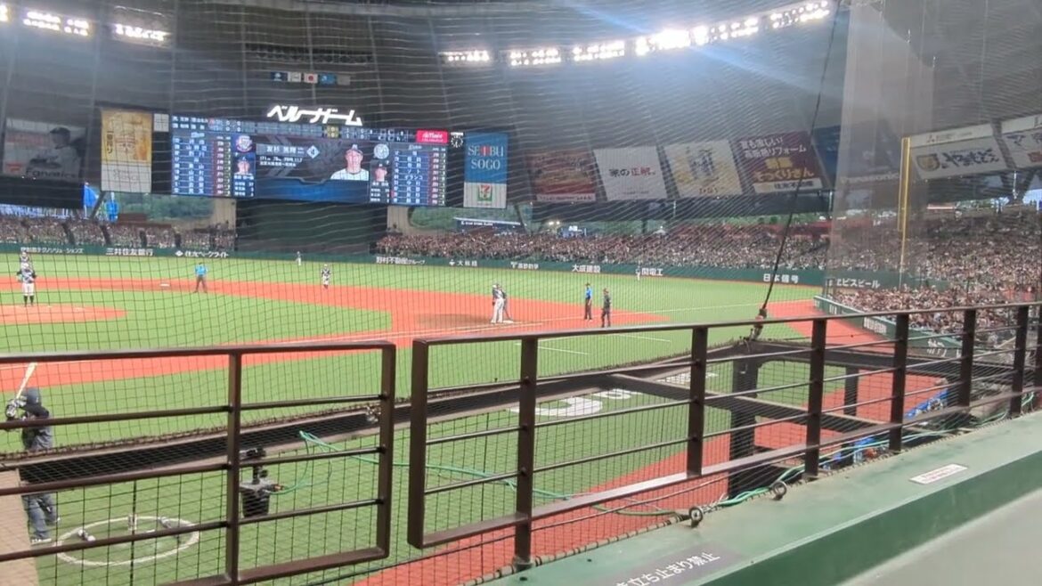 千葉ロッテマリーンズ38髙部瑛斗応援歌(令和ソニック) 西武-ロッテ 2024/7.6