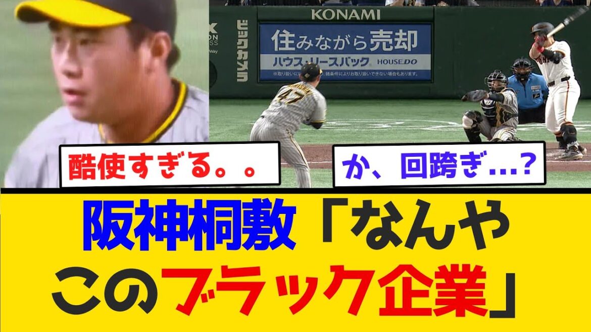 【酷使】阪神、桐敷「なんやこのブラック企業」 #阪神タイガース  #阪神  #なんj #2ch #まとめ  #ホームラン  #ハイライト #今日