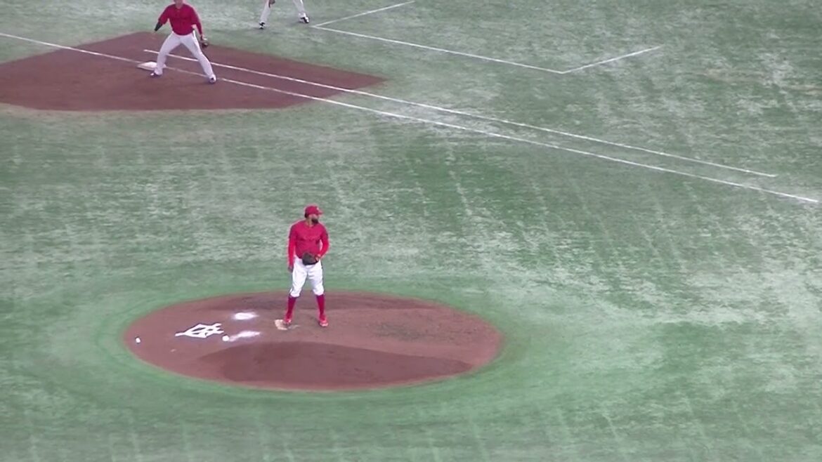 重信慎之介の盗塁を刺す強肩 坂倉将吾（2024年6月28日読売ジャイアンツ対 広島カープ）