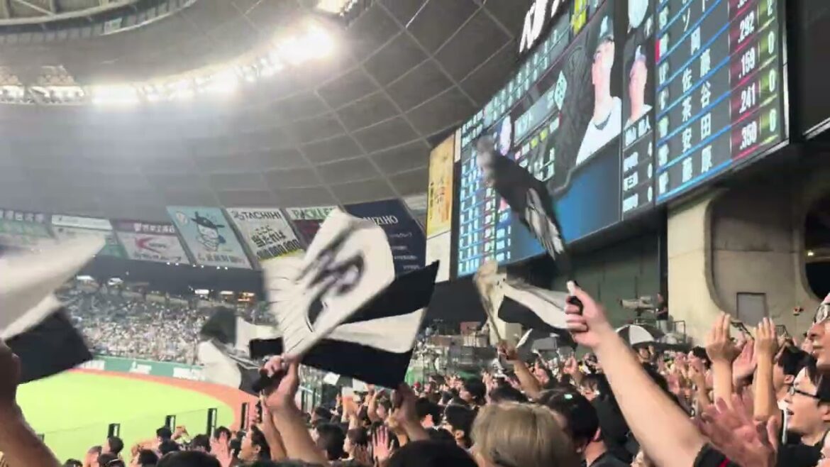 【今やレアなチャンテ4!】チャンステーマ5→好きだぜロッテ(夢花火)→チャンステーマ4 →夏限定応援歌 2024/7/5(金) ライオンズ vs ロッテ #chibalotte 【今やレアなチャンテ4!】チャンステーマ5→好きだぜロッテ(夢花火)→チャンステーマ4 →夏限定応援歌 2024/7/5(金) ライオンズ vs ロッテ #chibalotte