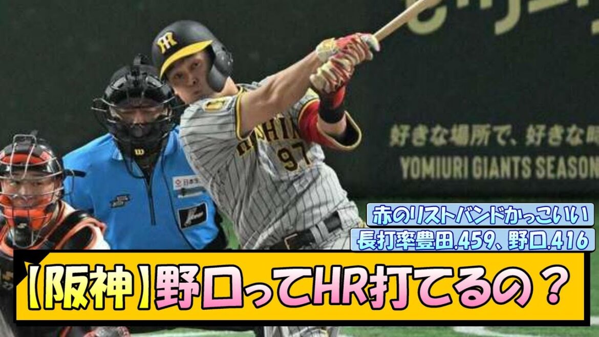 【阪神】野口ってHR打てるの？【なんJ/2ch/5ch/ネット 反応 まとめ/阪神タイガース/岡田監督/野口恭佑/豊田寛】
