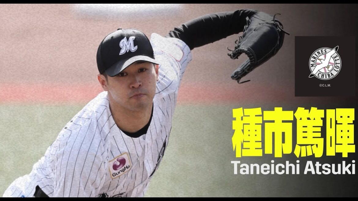 杉谷拳士嚴選 太平洋聯盟新星候補選手 種市篤暉