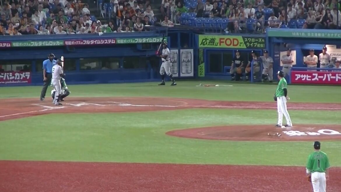 吉川尚輝をファーストゴロに打ち取る山本大貴2024年7月6日 ヤクルトスワローズ対 読売ジャイアンツ