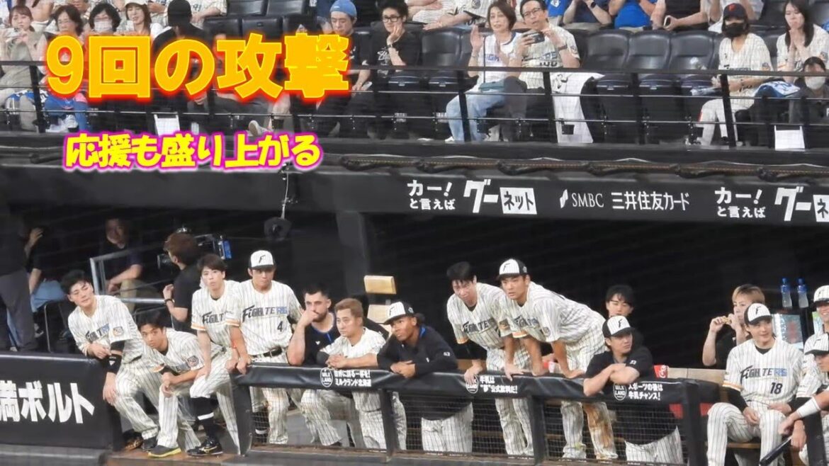 【20240716】9回裏で盛り上がるベンチの様子!残念ながら無得点も次回へ期待できる雰囲気! 【20240716】9回裏で盛り上がるベンチの様子!残念ながら無得点も次回へ期待できる雰囲気!