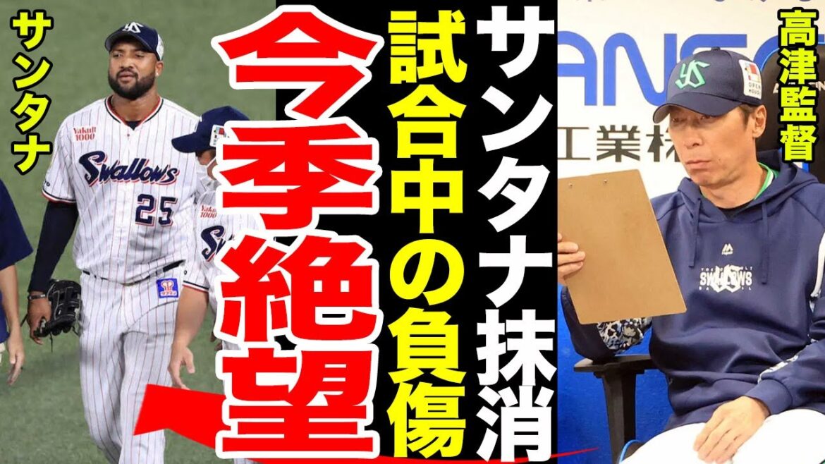 【大砲抹消】ヤクルト・サンタナが登録抹消された本当の理由がやばすぎる....球宴も出場できず代替の選手がまさかの●●...抹消後の高津監督のコメントに一同驚愕...