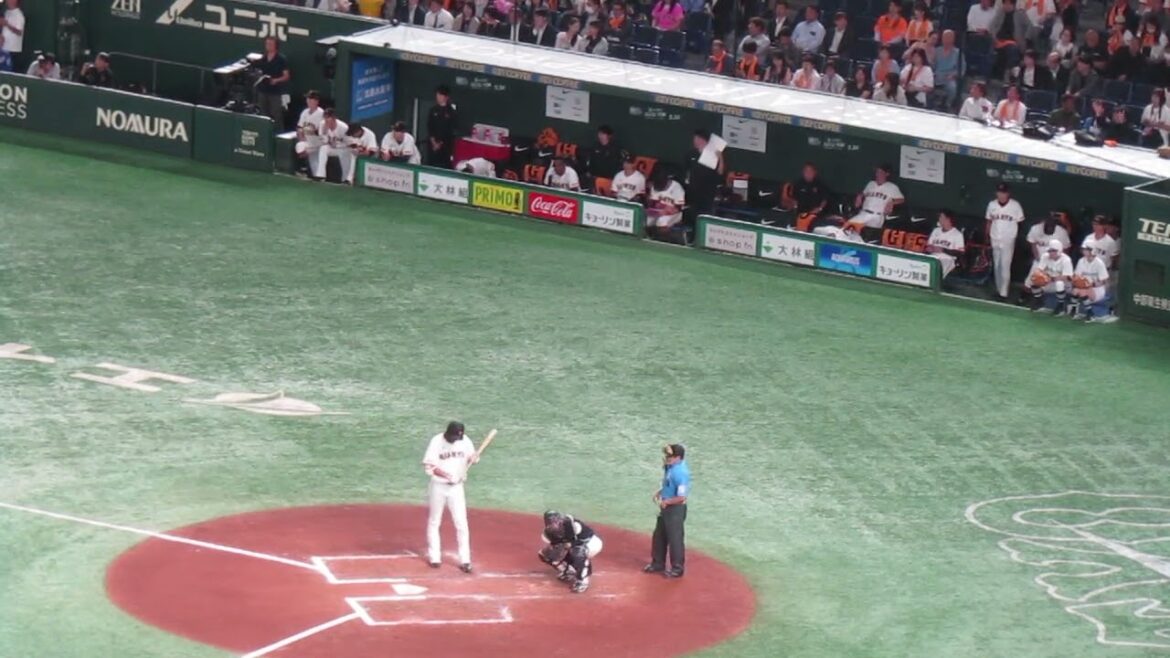 秋広優人の二塁打で喜ぶベンチの選手たちと最後うなずいてる阿部慎之助監督（読売ジャイアンツ対 千葉ロッテマリーンズ2024年6月4日