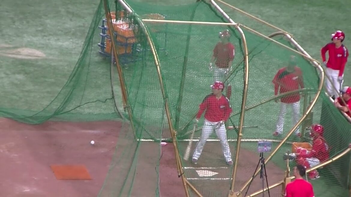 カープ坂倉将吾のフリーバッティング練習【読売ジャイアンツ対 広島カープ2024年6月29日】