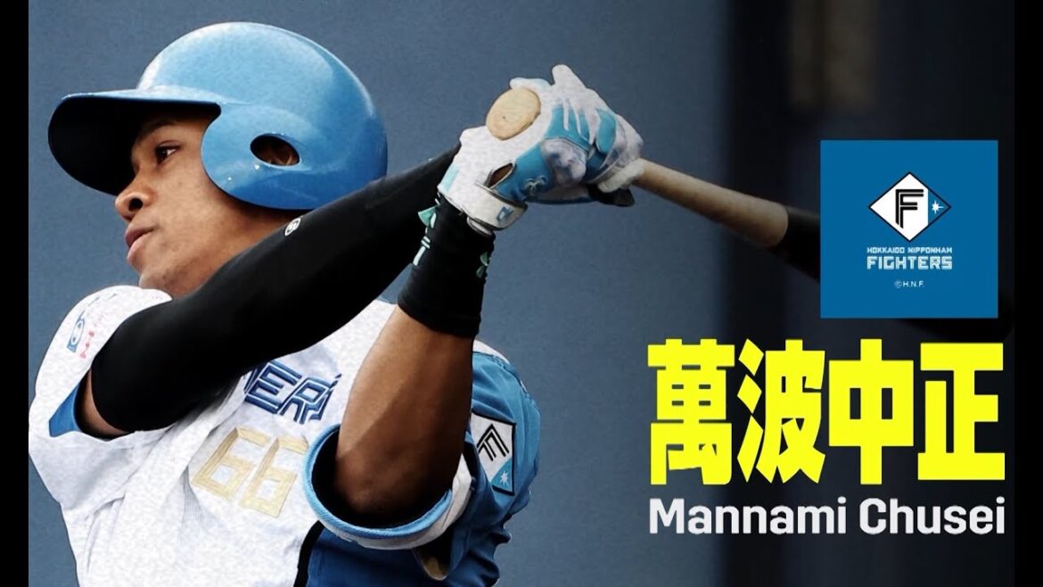 杉谷拳士嚴選 太平洋聯盟新星候補選手 萬波中正