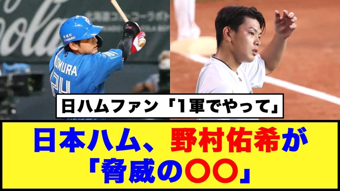 【日本ハム】野村佑希が「脅威の〇〇」日ハムファン「1軍でやって」【日本ハム反応集】【ネットの反応】#日本ハムファイターズ #野村佑希 #清宮幸太郎 【日本ハム】野村佑希が「脅威の〇〇」日ハムファン「1軍でやって」【日本ハム反応集】【ネットの反応】#日本ハムファイターズ #野村佑希 #清宮幸太郎
