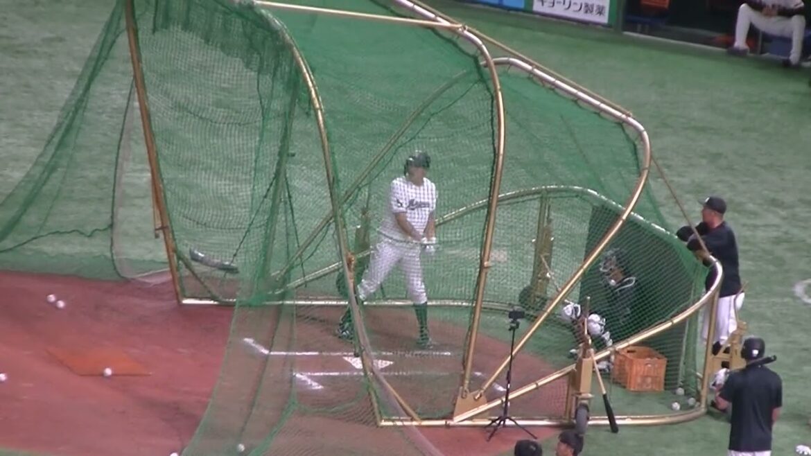 【フリーバッティング】ロッテ 安田尚憲のスイング（2024年6月6日 読売ジャイアンツ対 千葉ロッテマリーンズ）