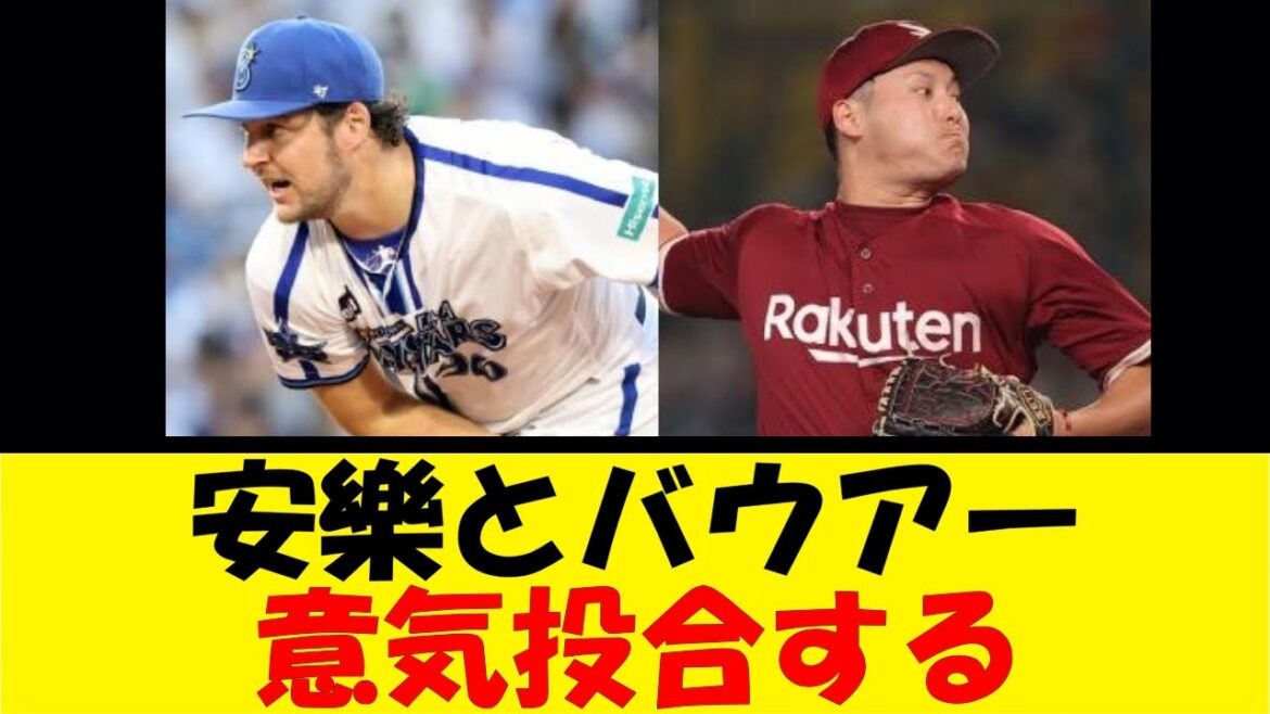 安樂とバウアー意気投合する【反応集】【野球反応集】【なんJ なんG野球反応】【2ch 5ch】