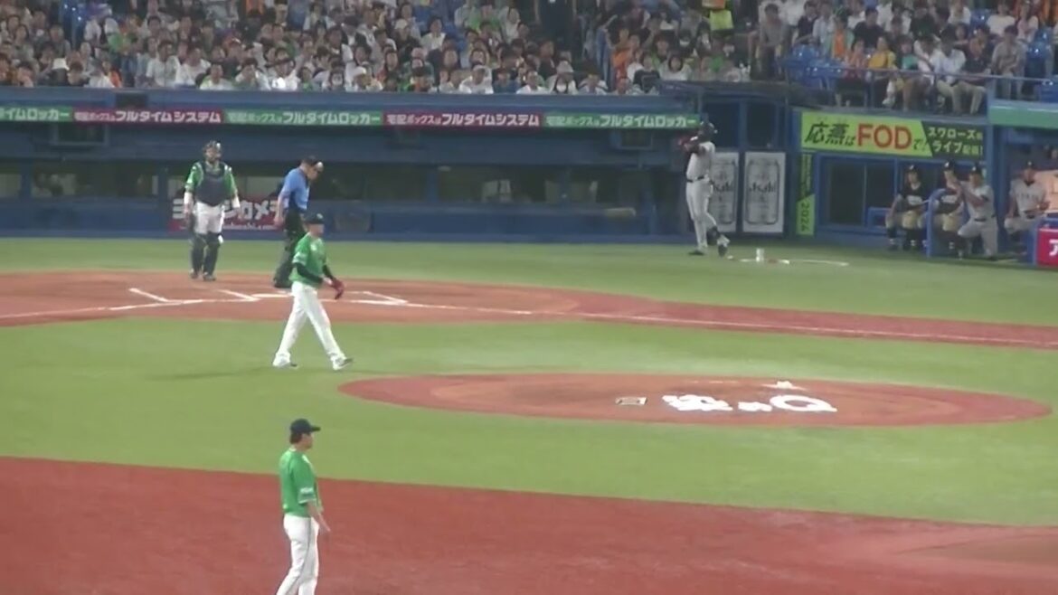 吉川尚輝を三振にとる石山泰稚（2024年7月5日ヤクルトスワローズ対 読売ジャイアンツ）