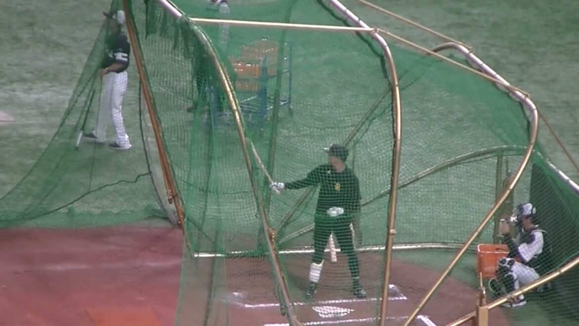 ソフバン川瀬晃のフリーバッティング【読売ジャイアンツ対ソフトバンクホークス2024年5月30日】