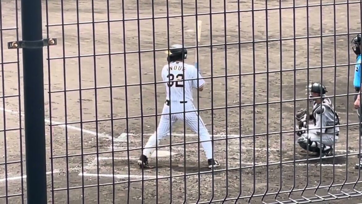 【期待しかない】#阪神 #井上広大 選手 クリーンヒット！24.7.9.🆚 🏟#阪神鳴尾浜球場