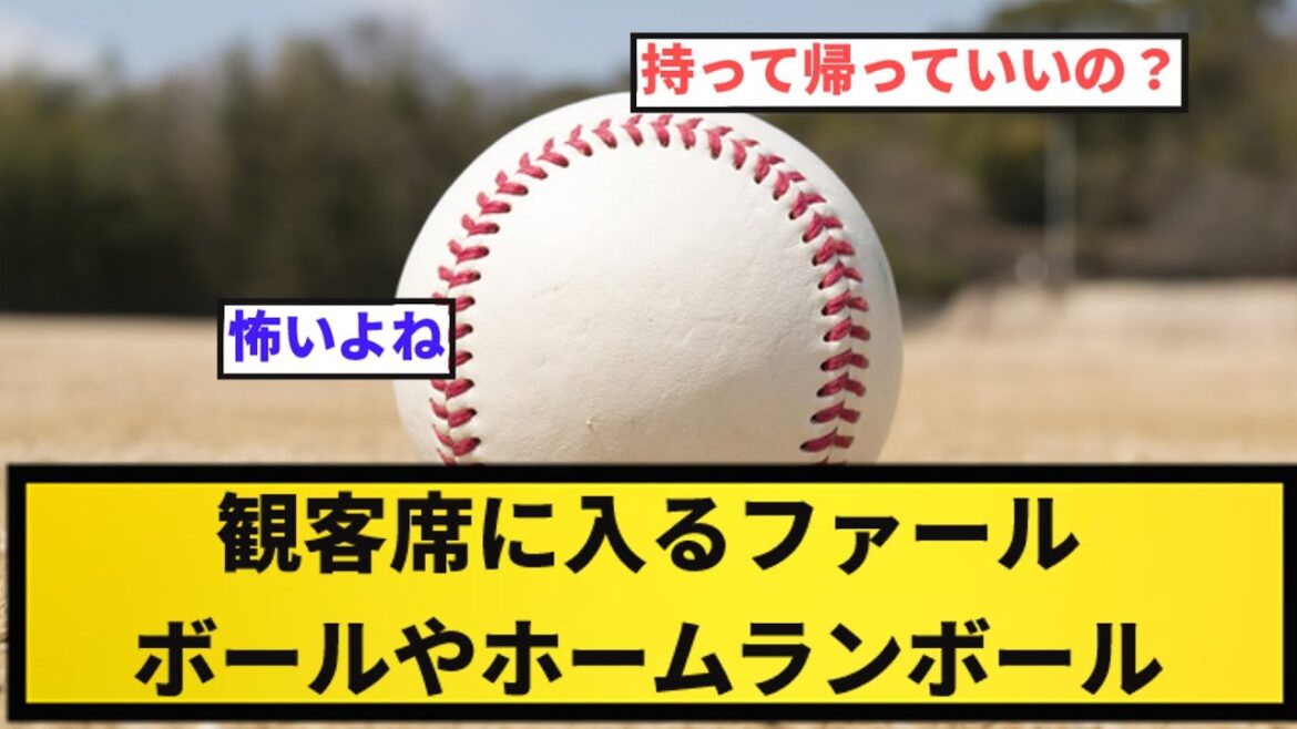 【疑問】プロ野球観戦でのファールボールやホームランボールってさ【反応集】【プロ野球反応集】