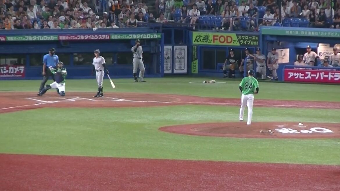 星知弥 巨人の若林楽人を三振2024年7月6日 ヤクルトスワローズ対 読売ジャイアンツ