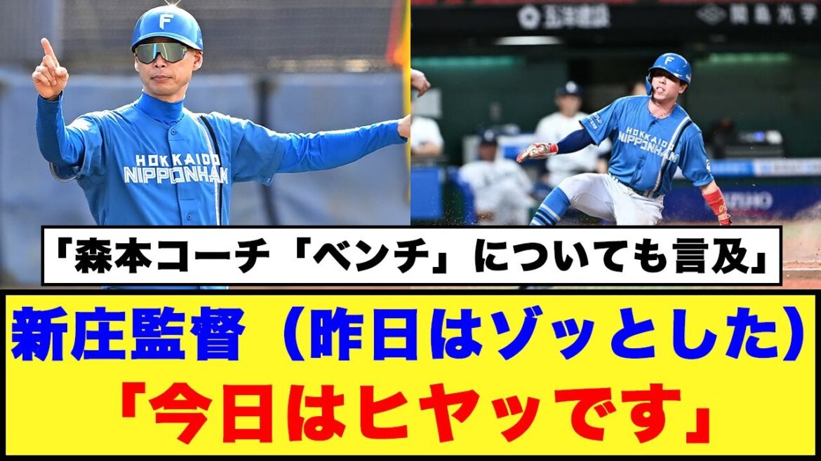 【日本ハム】新庄監督「今日はヒヤッです」「森本コーチ「ベンチ」についても言及」【日本ハム反応集】【ネットの反応】#日本ハムファイターズ #新庄監督 #五十幡亮汰 #森本稀哲