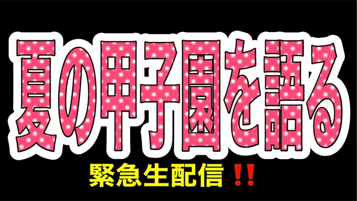 夏の甲子園をみんなで語ろう‼️