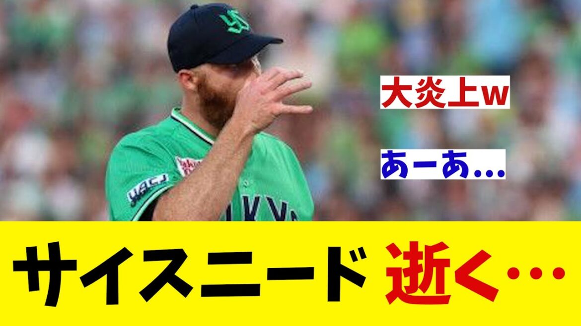 ヤクルト・サイスニード　大炎上wwwwww【野球情報】【2ch 5ch】【なんJ なんG反応】【野球スレ】