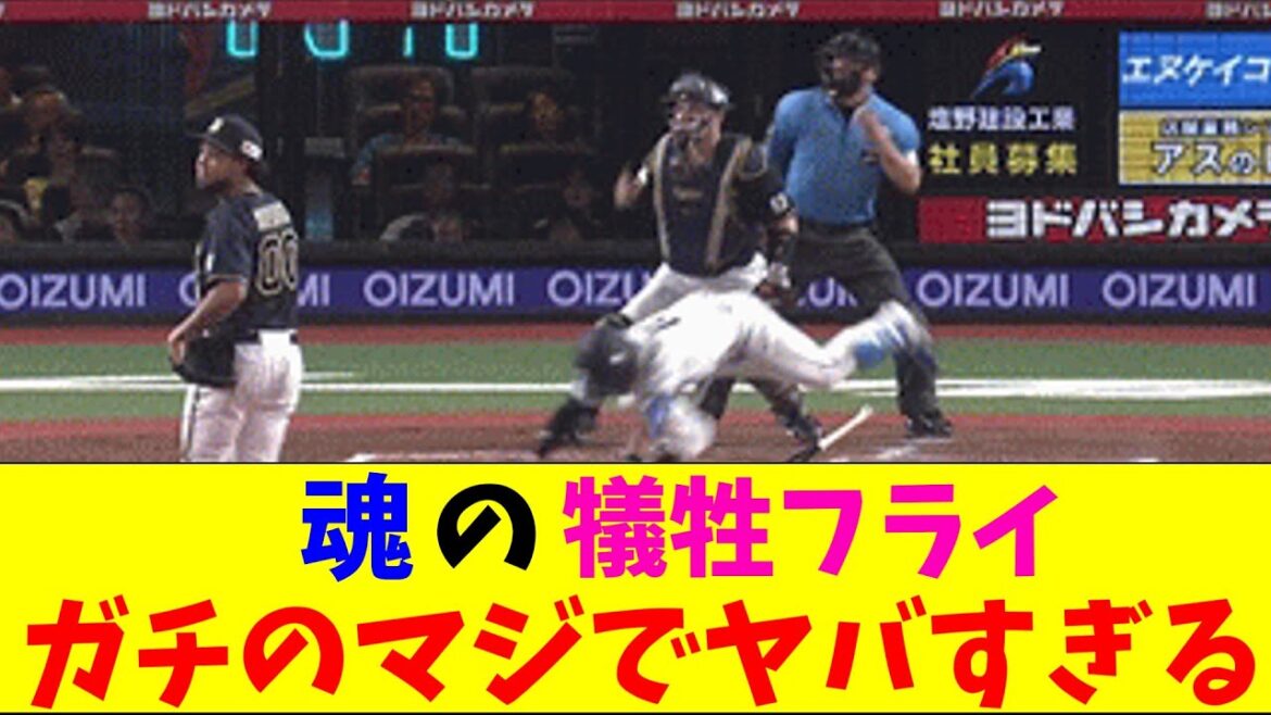 西武・野村大樹の魂の犠牲フライがガチのマジでヤバすぎるとなんｊとプロ野球ファンの間で話題にｗｗｗ【なんJ反応集】