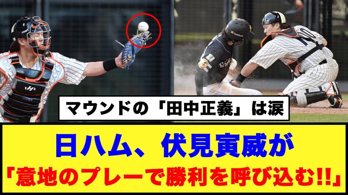 【大歓声】日ハム、伏見寅威が「意地のプレーで勝利を呼び込む!!」「マウンドの田中正義は涙」【日本ハム反応集】【ネットの反応】#日本ハムファイターズ #伏見寅威 #田中正義